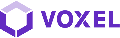 voxel